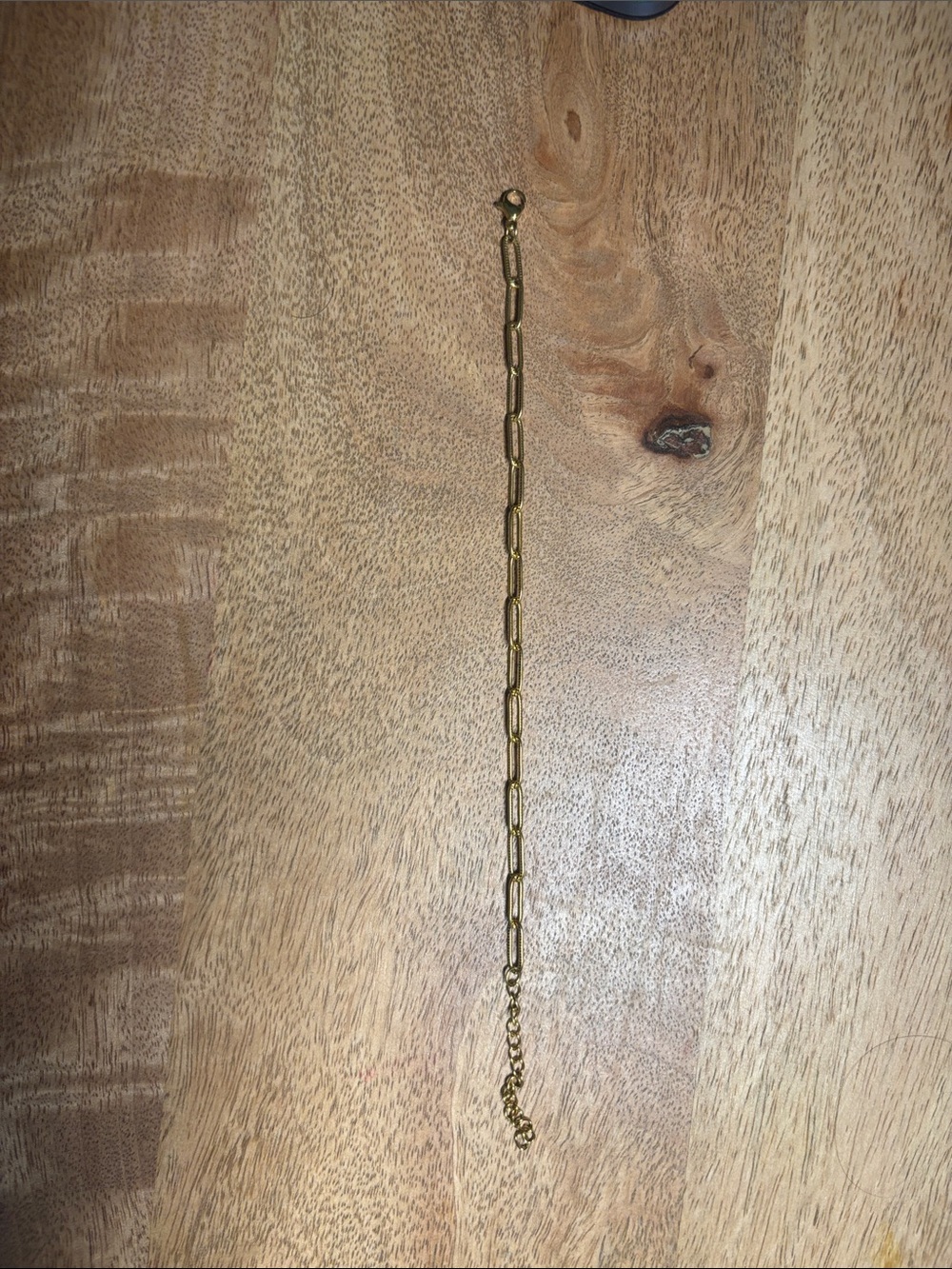 Gold Link Chain Bracelet - Women's Accessory